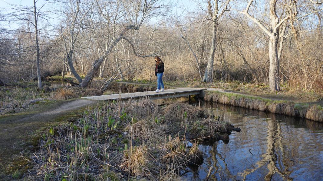 Full of Noises: A Village Soundwalk