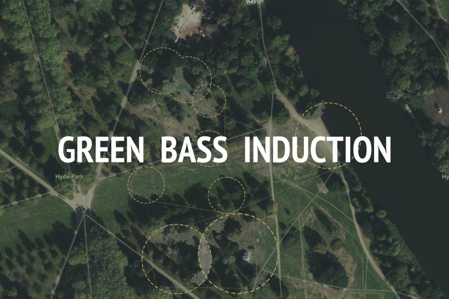 Green Bass Induction